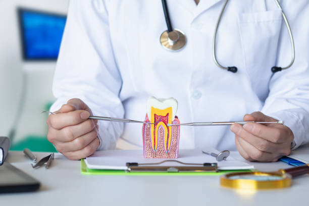 Best Weekend Emergency Dentist in Perry, KS